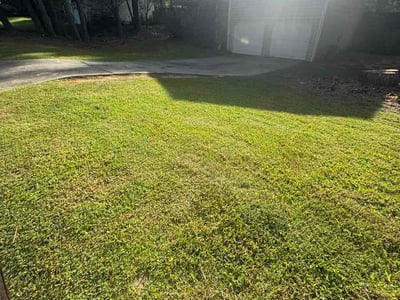 Lawn Care service in Roswell, 30075