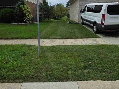 Lawn Care service in Grosse Pointe, 48230