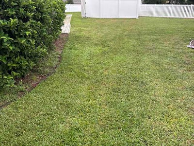 Lawn Care service in Bradenton, 34205