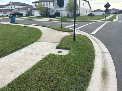 Lawn Care service in Citrus Park, 33625