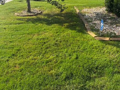Lawn Care service in Jonesboro, 30236