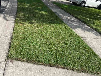 Lawn Care service in Ocoee, 34761