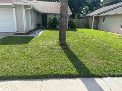 Lawn Care service in Ocoee, 34761