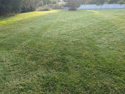 Lawn Care service in Hudsonville, 49426