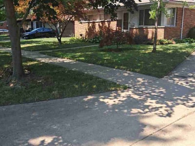 Lawn Care service in Hudsonville, 49426