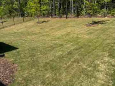 Lawn Care service in Avondale, 85323