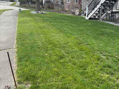 Lawn Care service in Worcester, 01608