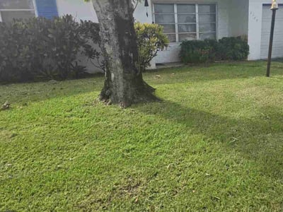 Lawn Care service in Hollywood, 33020