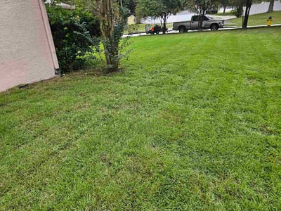 Lawn Care service in Eustis, 32726