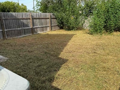 Lawn Care service in Worcester, 01608