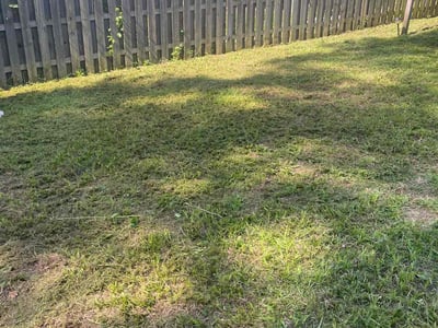 Lawn Care service in San Tan Valley, 85142