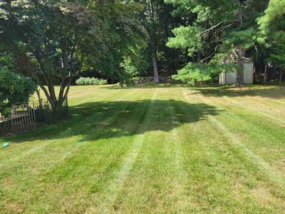 Lawn Care service in Framingham, 01702