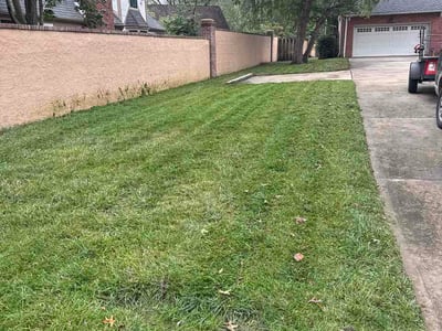 Lawn Care service in Lawson, 64062