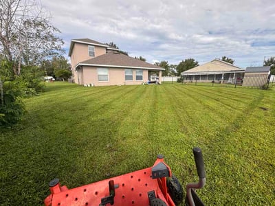 Lawn Care service in ,