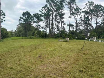 Lawn Care service in Cocoa Beach, 32931