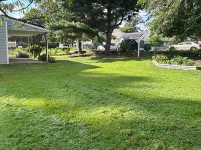 Lawn Care service in Potomac, 20036