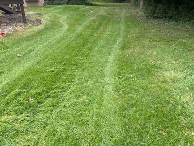 Lawn Care service in Rochester Hills, 48307