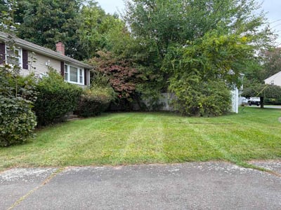 Lawn Care service in Vernon Rockville, 06066