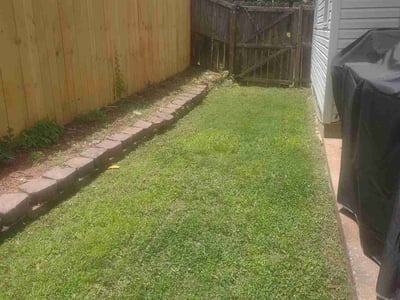 Lawn Care service in Little Rock, 72201