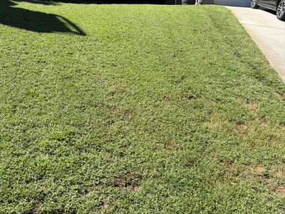Lawn Care service in Conyers, 30012