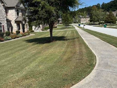 Lawn Care service in Conyers, 30012