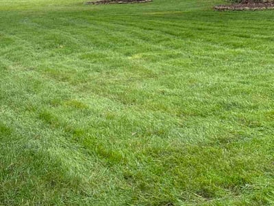 Lawn Care service in Reynoldsburg, 43068