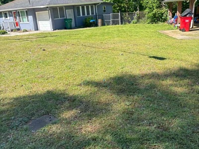 Lawn Care service in Mesa, 85201