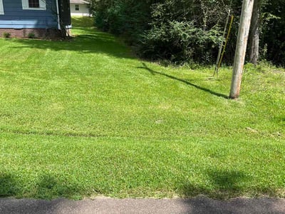 Lawn Care service in Pearl, 39208