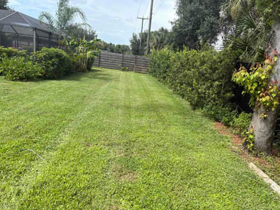 Lawn Care service in Miami Gardens, 33056