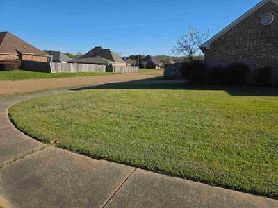 Lawn Care service in Pearl, 39208