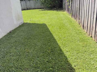 Lawn Care service in Miami, 33132