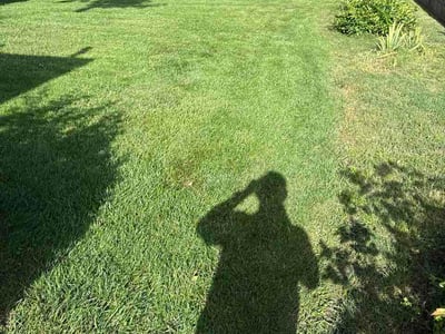 Lawn Care service in Coweta, 74429