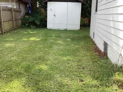 Lawn Care service in Lakeside, 32065