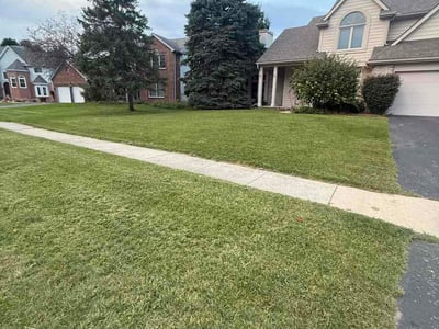 Lawn Care service in Holland, 43528