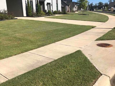 Lawn Care service in ,