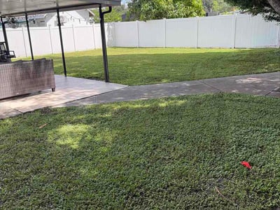 Lawn Care service in Oldsmar, 34677