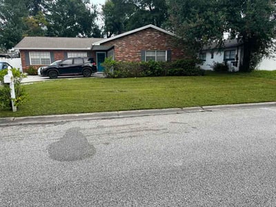 Lawn Care service in Oldsmar, 34677