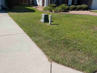 Lawn Care service in Coolidge, 85128