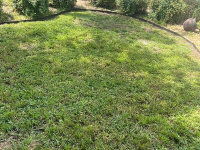 Lawn Care service in Westport, 06880