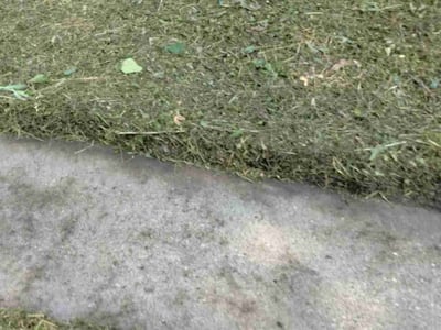 Lawn Care service in Forest Lake, 55025