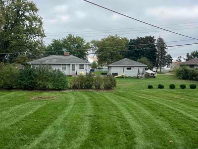 Lawn Care service in Bloomington, 55431