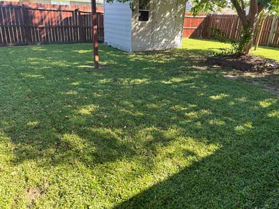Lawn Care service in Cantonment, 32533