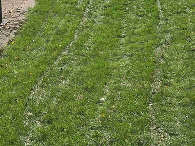 Lawn Care service in Bloomington, 55431