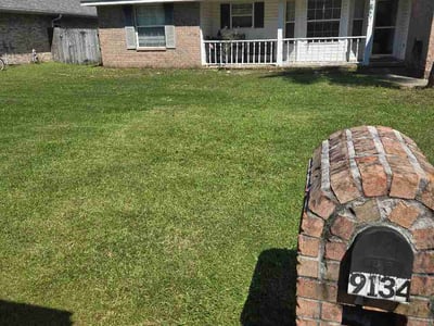 Lawn Care service in Cantonment, 32533