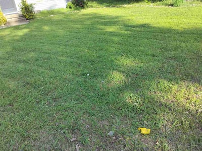 Lawn Care service in Tulsa, 74103