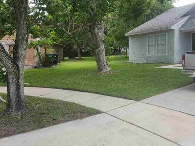 Lawn Care service in St Cloud, 34769