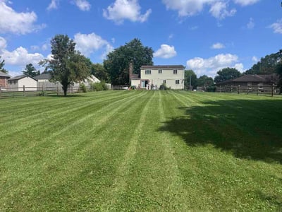 Lawn Care service in Springboro, 45066