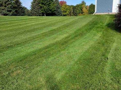 Lawn Care service in Richfield, 55423