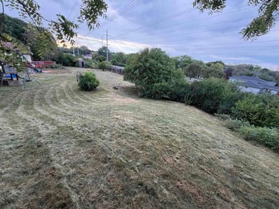 Lawn Care service in Richfield, 55423