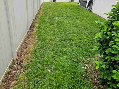 Lawn Care service in Windermere, 34786